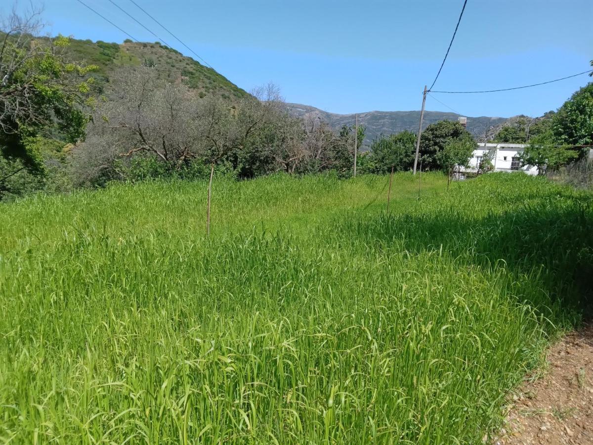 Strovlés Angel Villa מראה חיצוני תמונה